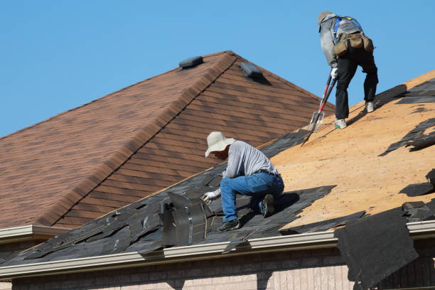 Best Roof Maintenance and Cleaning  in Skyline Acres, OH